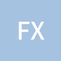 FX大卫