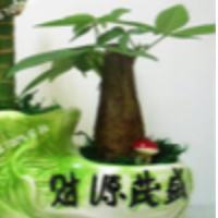 良好世界观