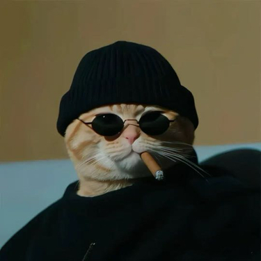 uer avatar