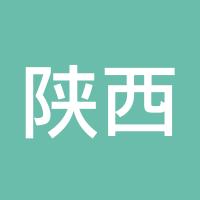 陕西有色
