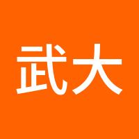 武大侠