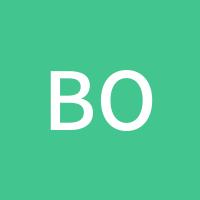 boss孟