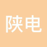 陕电俠