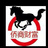 侨汇资产