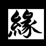 止损大师