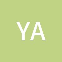 yangzz