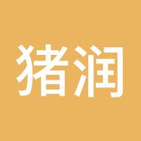 猪润发