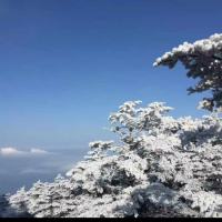 china哥V5