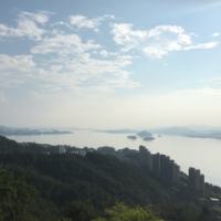 只开一春开了满城