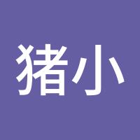 猪小猪