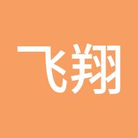 飞翔的企鹅