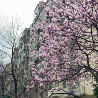 这么好的