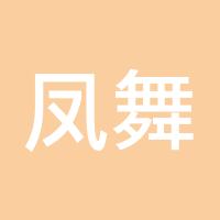 凤舞九天A