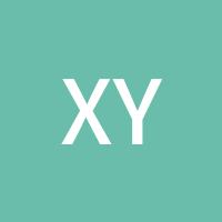 xylxydt