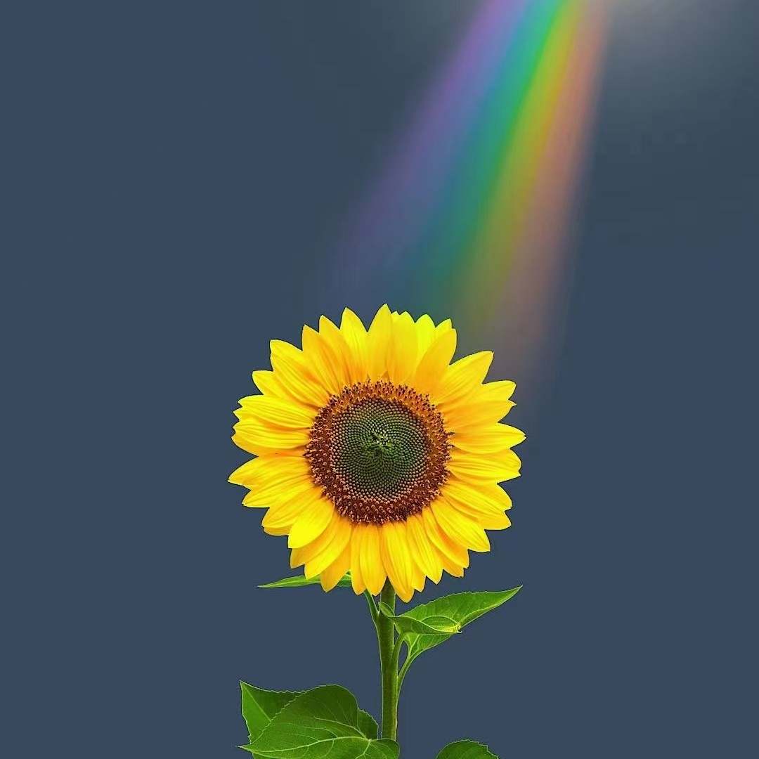 OPEC+ 使出杀手“减”，油价上涨在即？干就完了