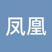 凤凰劫
