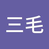 三毛闯天下