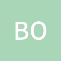 bossli2008
