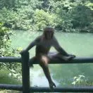 鼎升啊