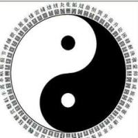 标新立异BB中山之星