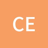 CEO外汇