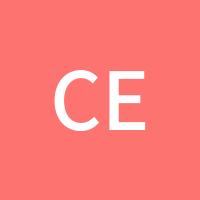 CEO费少