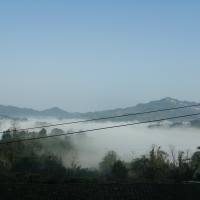 斜杠青年