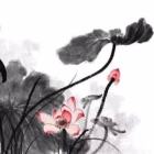 2月交易数据盈利向好，3月美联储加息成“黑天鹅”？