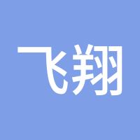 飞翔846