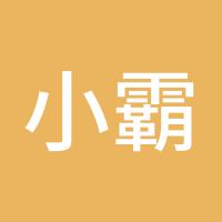 小霸王跟你赚