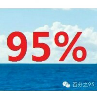 百分之95%