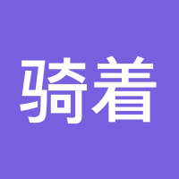 骑着乌龟追飞机