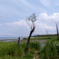 zhibo68