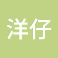 洋仔293