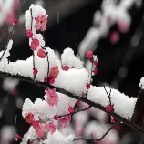 梦幻之城
