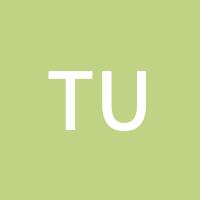 tulipyinzi