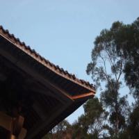 胡尔摩斯888