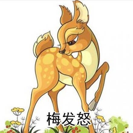 我只是个卖菜的