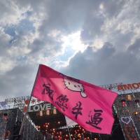 不须啼