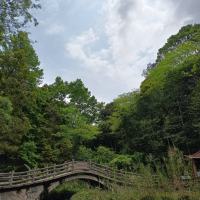 汇海悟道
