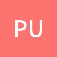 puyang