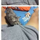 裸k王者