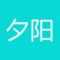 夕阳寒雪飘
