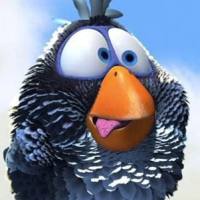 Mirco