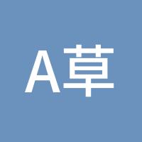 A草原飞鹰