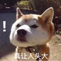 到此二游