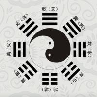 无极圣手