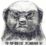 生活狠好