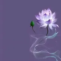 飞翔feixiang