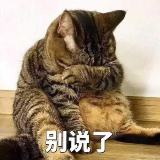 耐心等待168